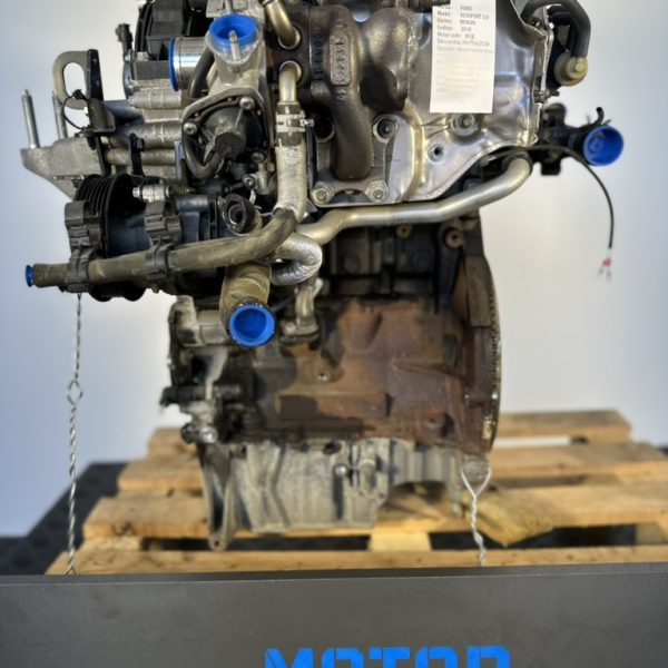 FORD ECOSPORT Motor code: M1JJ